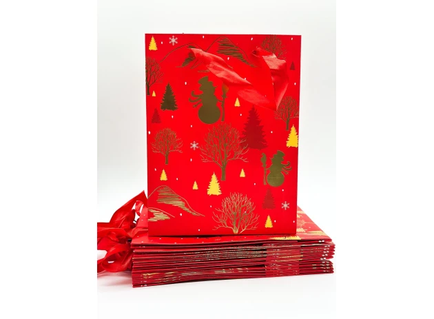 pungi cadou 18x23x8cm set.12buc. 00114