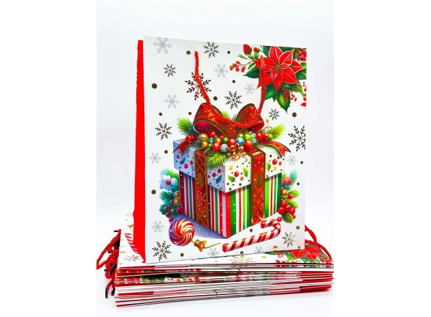 pungi cadou 26x32x10cm set.12buc.00162