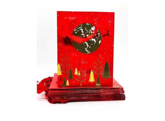 pungi cadou 18x23x8cm set.12buc. 00114