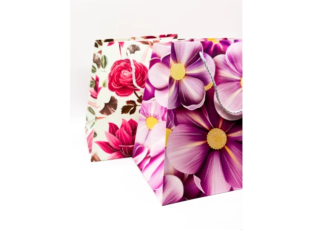 pungi cadou 26x31x23cm set.12buc. 00288