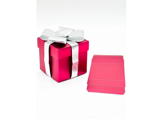 cutii p-u cadou 20cm buc.00034