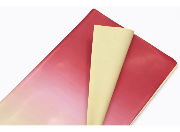 pelicula p-u  flori  58x58cm set.20buc.00032