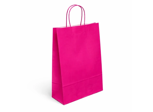 pungi hartie 22x16x8cm set.12buc. 00048