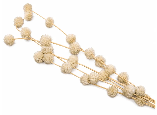 flori decorative 60-70cm 5buc 00112