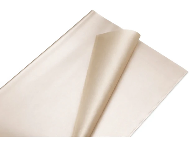 pelicula p-u  flori  58x58cm set.20buc.00046