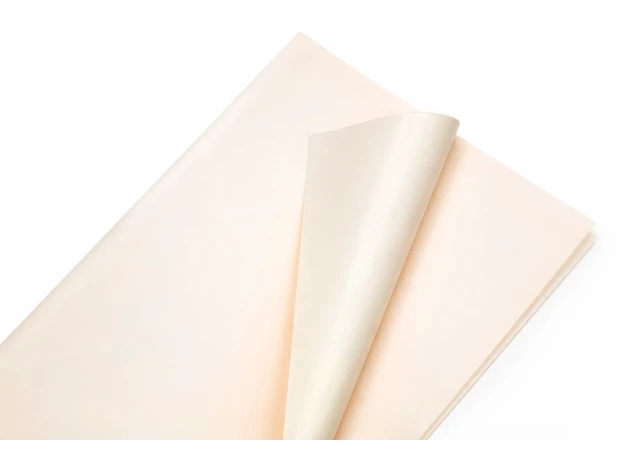 pelicula p-u  flori  58x58cm set.20buc.00032