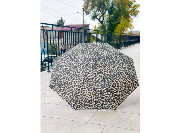 umbrele buc 00240