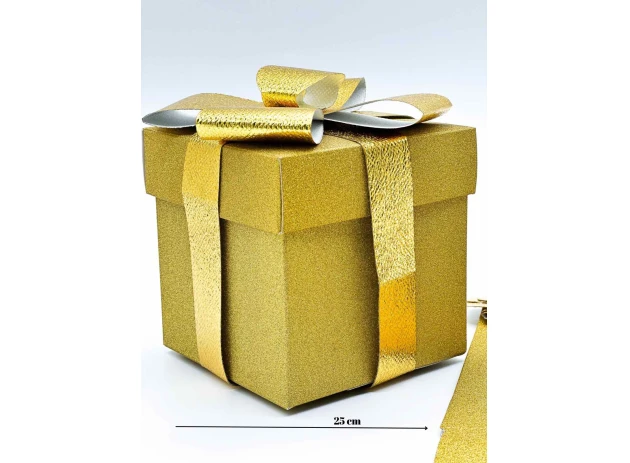 cutii p-u cadou 25cm buc.00050