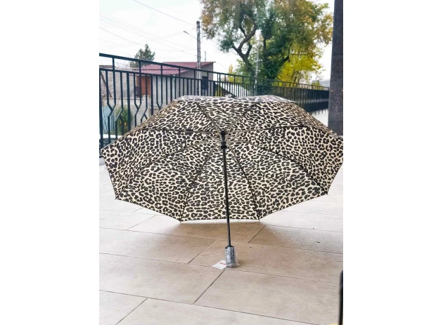 umbrele buc 00240