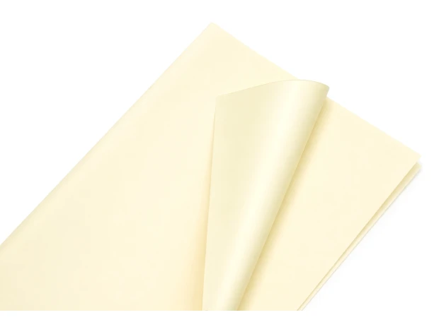 pelicula p-u  flori  58x58cm set.20buc.00032