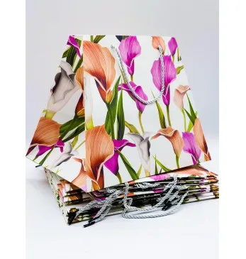 pungi cadou 26x31x23cm set.12buc. 00288