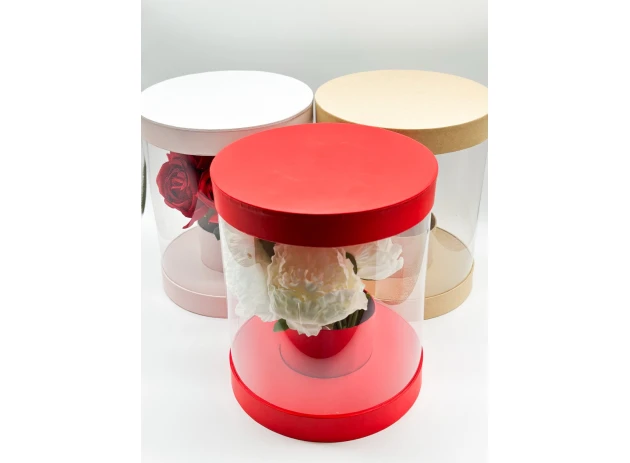 cutie transparenta p-u flori assorti buc.00102