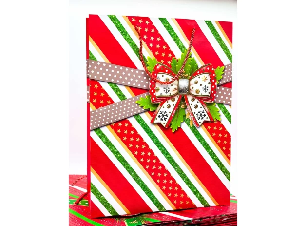 pungi cadou 39x30x12cm set.12buc.00188