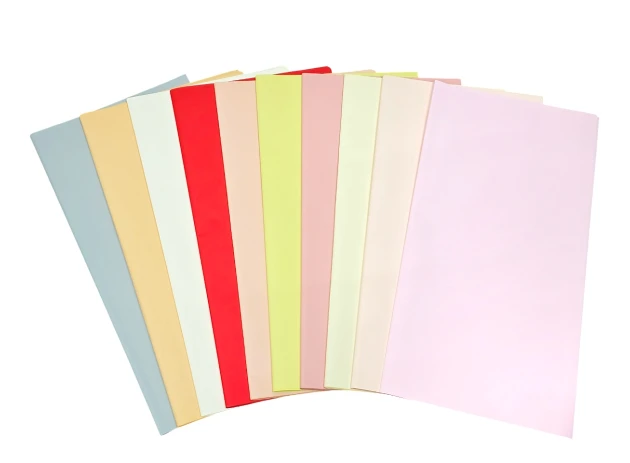 pelicula p-u  flori  58x58cm set.20buc.00032