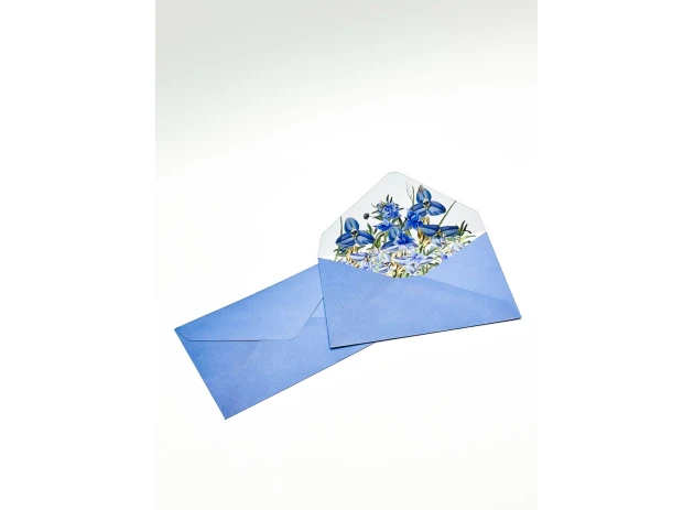 plicuri 11x16cm set 20buc 00061