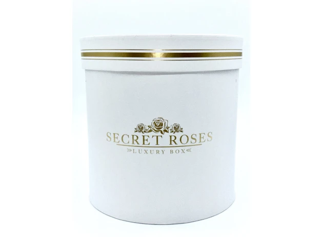 cutii p-u cadou assorti set.  5buc.00240