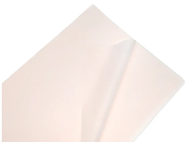 pelicula p-u  flori  58x58cm set.20buc.00030