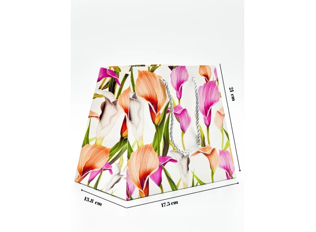 pungi cadou 17x21x13cm set.12buc.00144