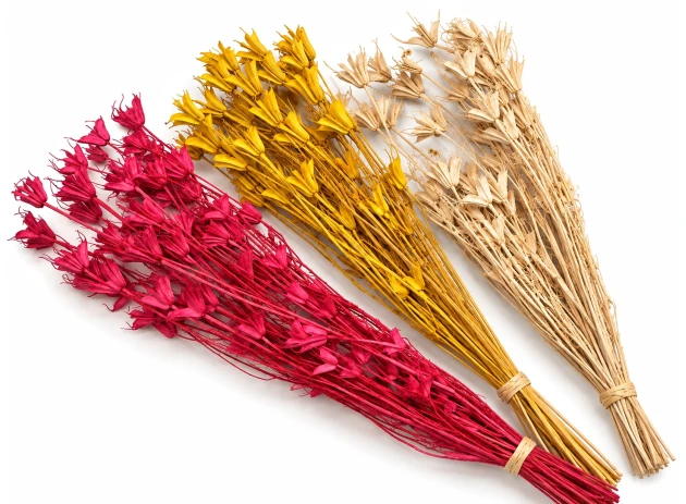 nigella oriental 60-70cm 60gr 00066