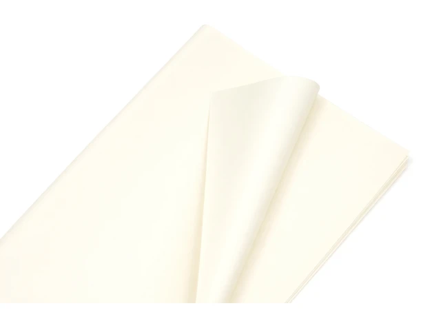 pelicula p-u  flori  58x58cm set.20buc.00032