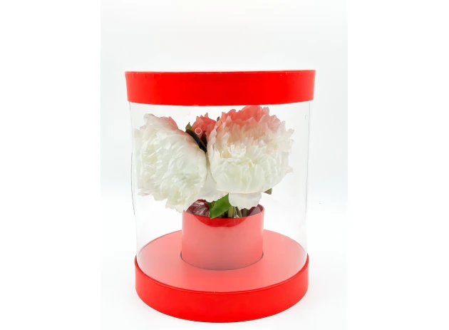 cutie transparenta p-u flori assorti buc.00102