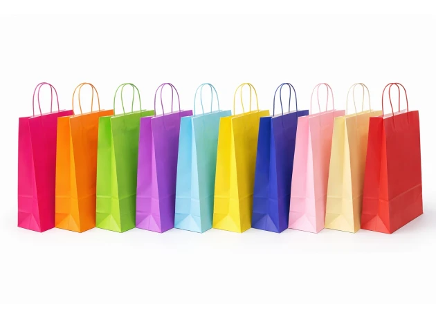 pungi hartie 22x16x8cm set.12buc. 00048