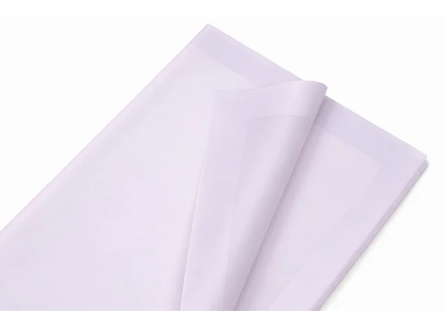 pelicula p-u  flori  58x58cm set.20buc.00040