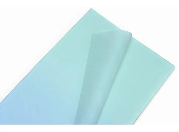 pelicula p-u  flori  58x58cm set.20buc.00032