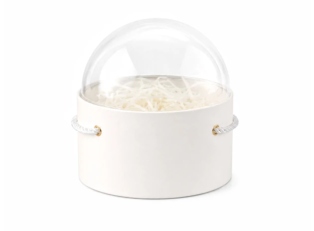 cutii p-u cadou buc 00064