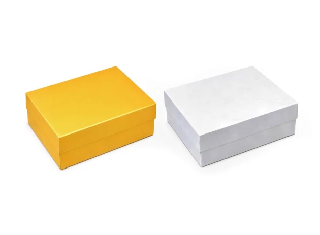 cutii cadou 22x17x7cm set.12buc. 00198