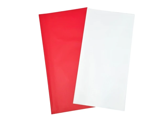 pelicula p-u  flori  58x58cm set.20buc.00030