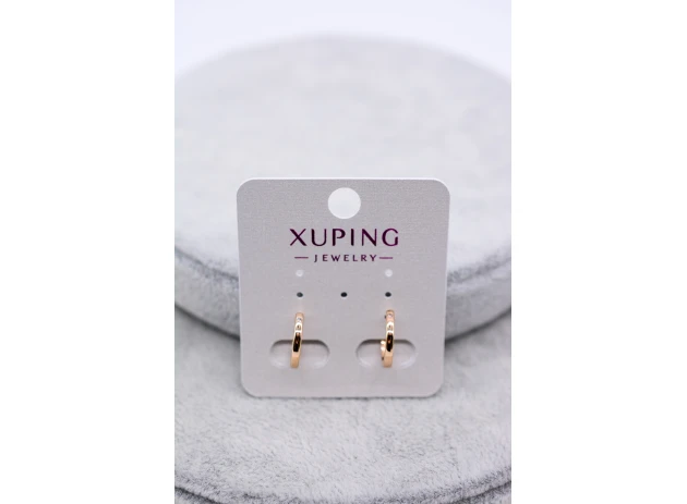 cercei pereche 00038