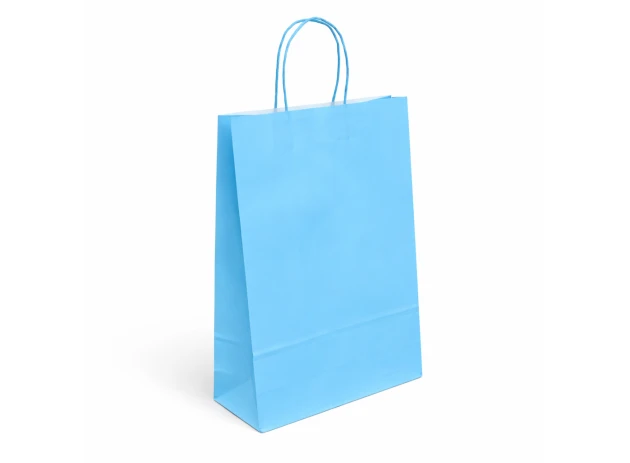 pungi hartie 22x16x8cm set.12buc. 00048