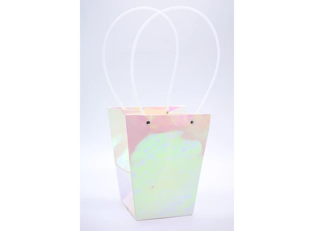 pungi flori 17x11.5x20cm set.10buc.00170