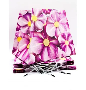 pungi cadou 26x31x23cm set.12buc. 00288