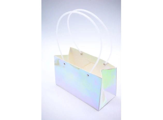 pungi flori 22x13.5x22cm set.10buc.00140