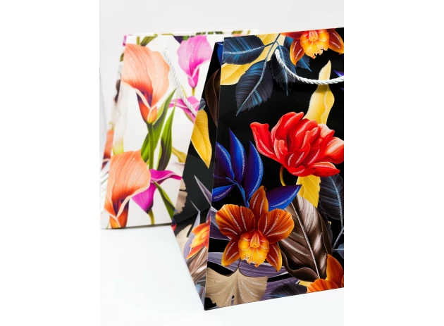 pungi cadou 26x31x23cm set.12buc. 00288