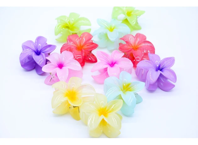 crab plastic set 6 per 00096