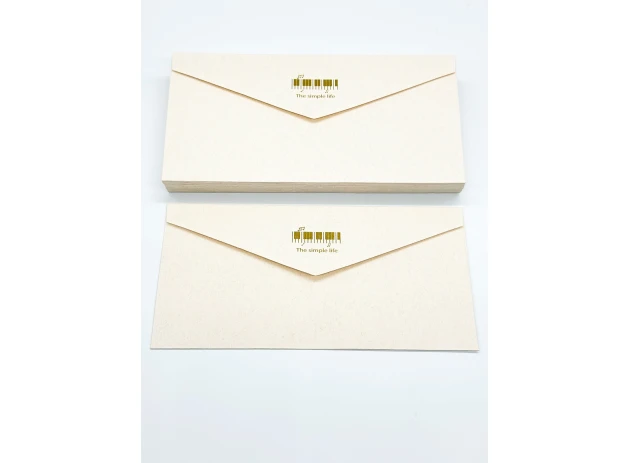 plicuri 22x11cm set 25buc 00160