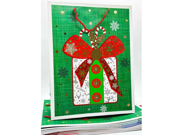 pungi cadou 39x30x12cm set.12buc.00188