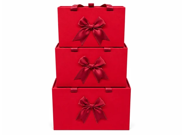 cutii p-u cadou set  3buc 00200