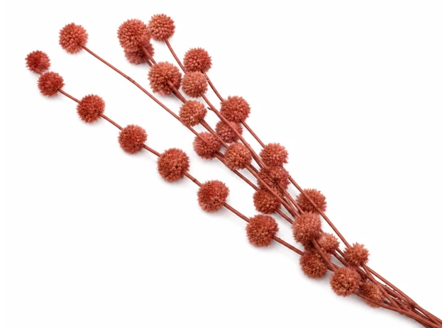 flori decorative 60-70cm 5buc 00112
