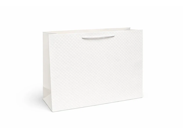 pungi cadou 47x36x15cm set.12buc. 00384