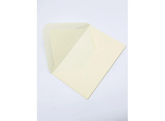 plicuri 11x17cm set 20buc 00154