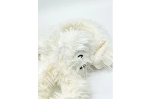 casti p-u urechi set 12buc 01236