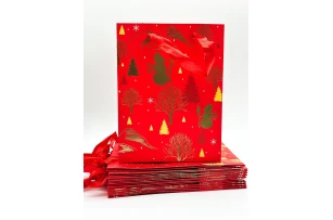 pungi cadou 18x23x8cm set.12buc. 00114