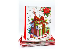 pungi cadou 26x32x10cm set.12buc.00162