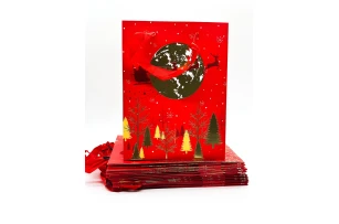 pungi cadou 18x23x8cm set.12buc. 00114