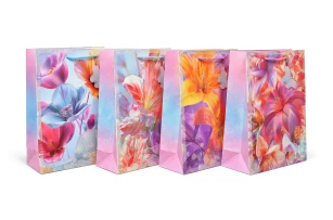 pungi cadou 26x32x10cm set.12buc.00150