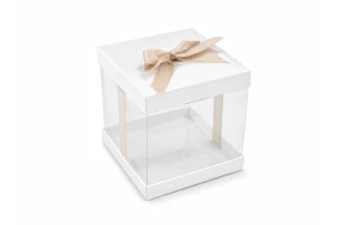 cutii transparente 10cm set 25buc 00225
